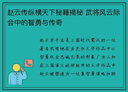 赵云传纵横天下秘籍揭秘 武将风云际会中的智勇与传奇